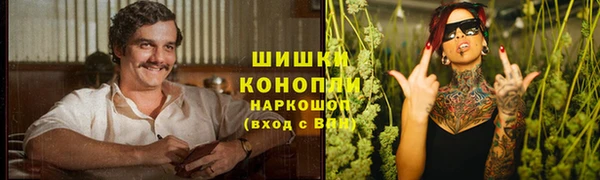 мяу мяу мука Елизово
