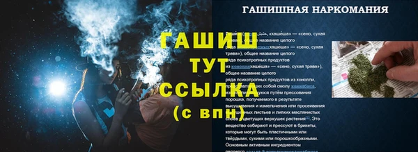 мяу мяу мука Елизово